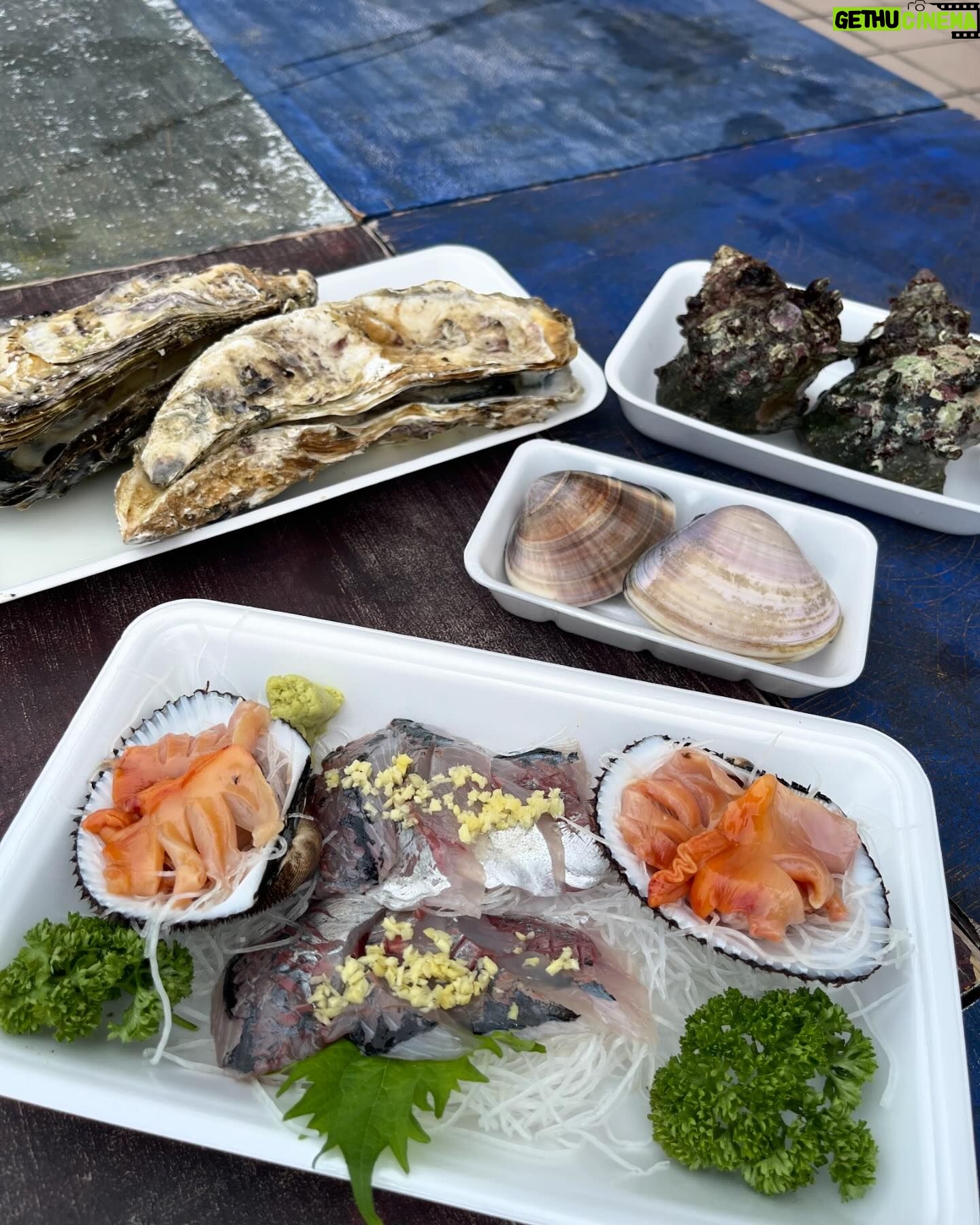 Chisun - 171 Likes - 町のお魚屋さんに弟子入り
とれたてのアジと赤貝のお刺身ばつぐん
牡蠣、サザエ、はまぐりも立派
#千葉県
#いすみ市
#町のお魚屋さん
#とれたての美味さよ