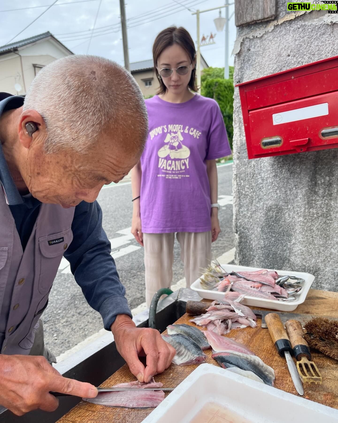 Chisun - 171 Likes - 町のお魚屋さんに弟子入り
とれたてのアジと赤貝のお刺身ばつぐん
牡蠣、サザエ、はまぐりも立派
#千葉県
#いすみ市
#町のお魚屋さん
#とれたての美味さよ