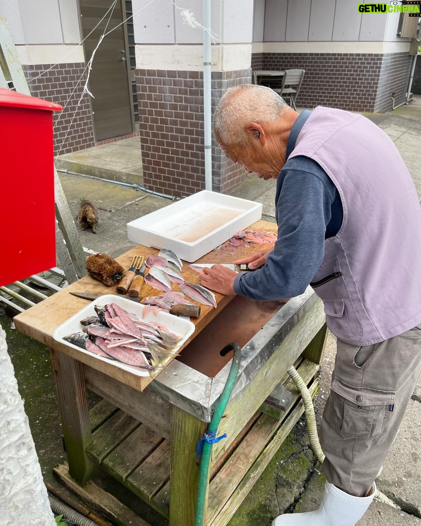 Chisun - 171 Likes - 町のお魚屋さんに弟子入り
とれたてのアジと赤貝のお刺身ばつぐん
牡蠣、サザエ、はまぐりも立派
#千葉県
#いすみ市
#町のお魚屋さん
#とれたての美味さよ