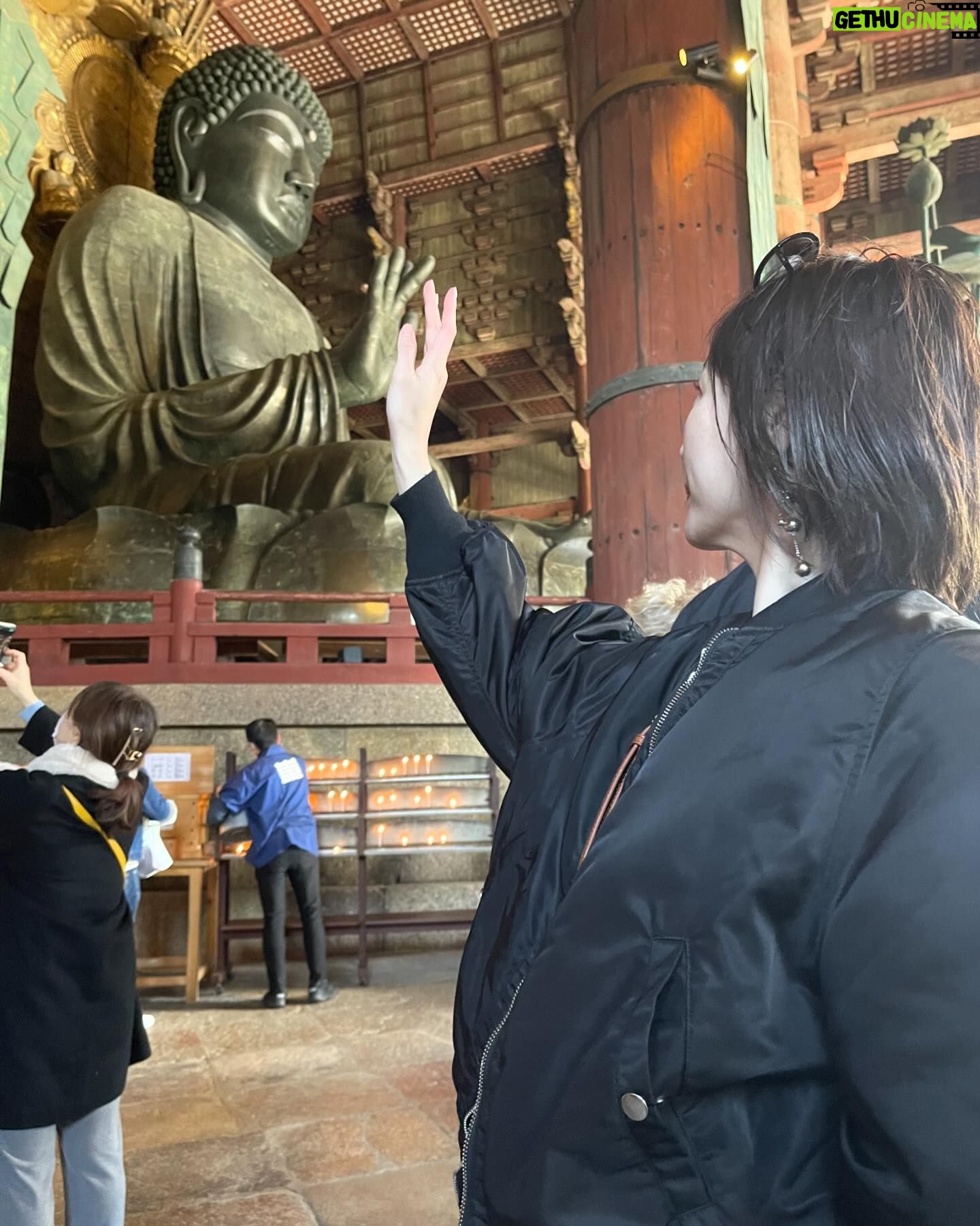 Chisun - 211 Likes - 奈良🦌
#nara
#東大寺