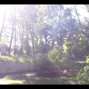 Chloë Levine Instagram - Missin home today. These are a few screenshots from an experimental film I made a few years ago about the house that I grew up in. 50 Lilline Lane, home on a hill.