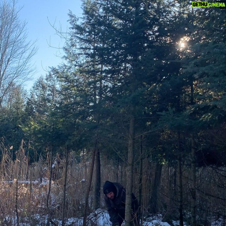 Chloe Russell - 1.9K Likes - Notre tradition, couper le sapin de noël en famille ❤️