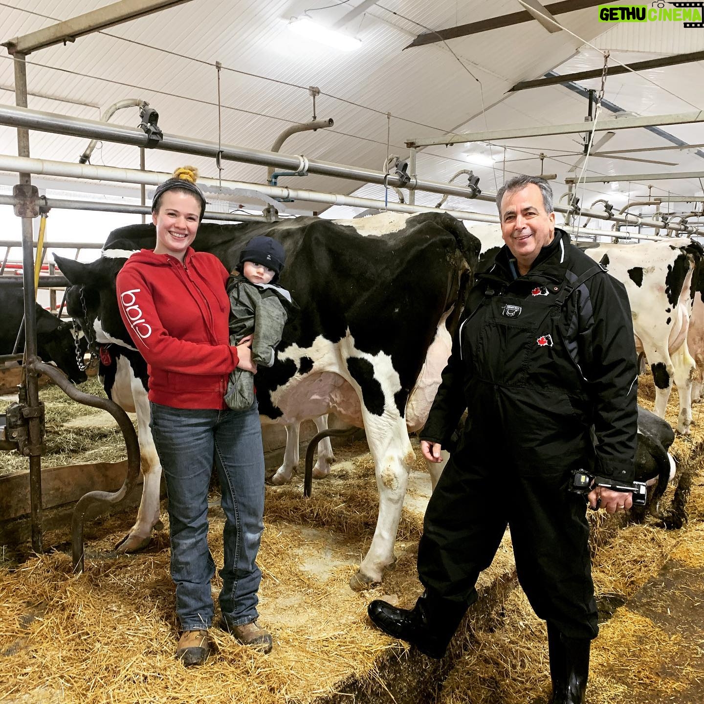 Chloe Russell - 2.1K Likes - Je suis une fille très fière 🥰 2 nouvelles excellentes parmi nous!
Dans la photo: Vertulait Impression Bianca Ex90
Rouillard Superpower Nadège Ex90
Notre troupeau: 3EX 34TB 49BP 11B
4 ans maintenant que je suis sur la ferme à temps pleins et je suis tellement chanceuse. Je travaille avec des vraies perles, des vaches douces et productrices, elles méritent toute leurs places ici. Je n’ai pas un troupeau de show mais sa me fais chaud au cœur de savoir que mes vaches ne sont pas juste bonne mais belles 🥰
Je travaille fort à toute les jours afin de produire du lait de qualité et à élever des vaches durables. J’ai trait les vaches à toute les jours jusqu’à la journée que j’ai accoucher parce que je fais confiance à mes vaches et mes vaches sont confortable avec moi, il a tu dequoi à être plus fier? BIN OUI, être capable de transmettre cette passion à notre fils💕
Good job mes girls