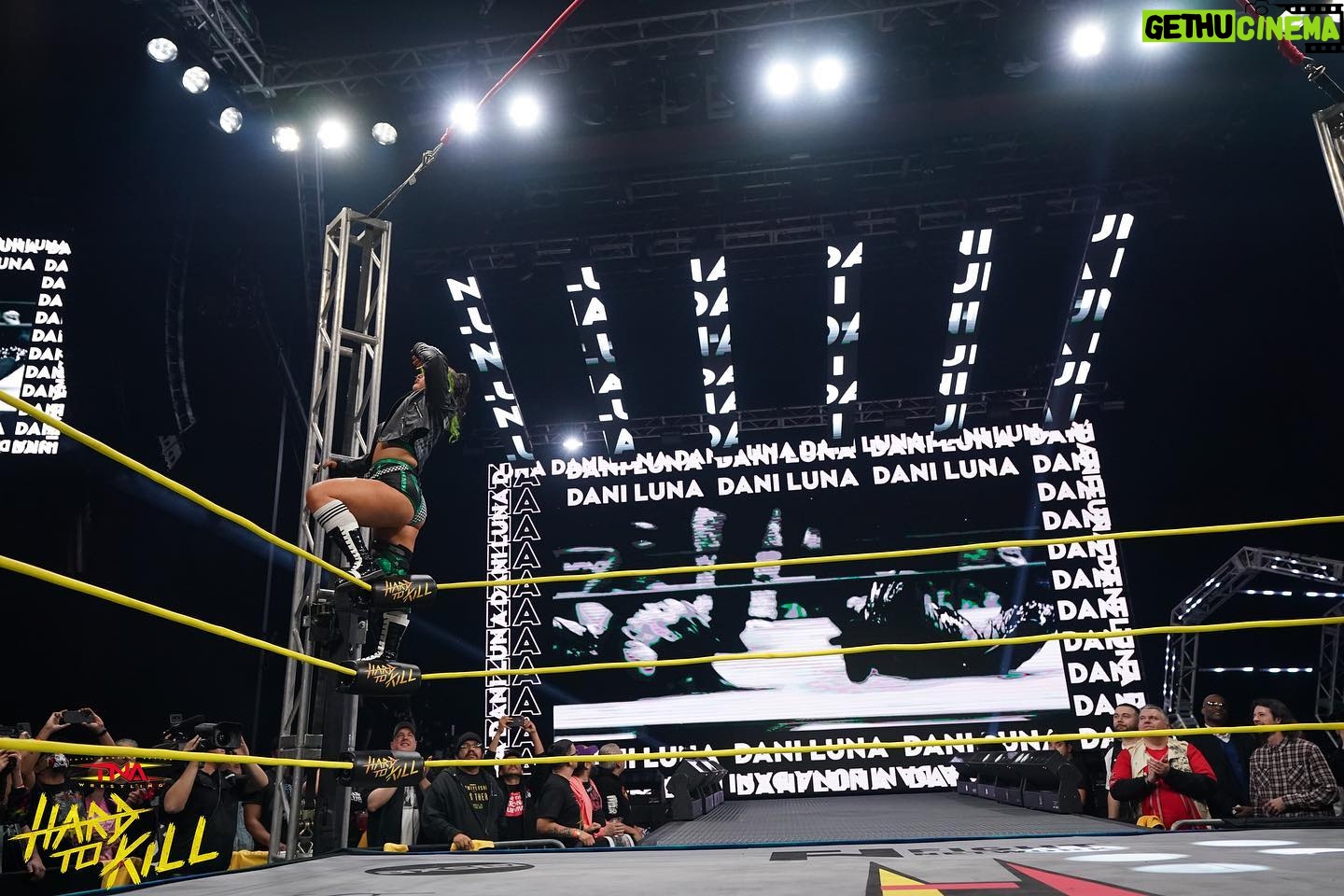Chloe Smith - 829 Likes - ULTIMATE X
TNA