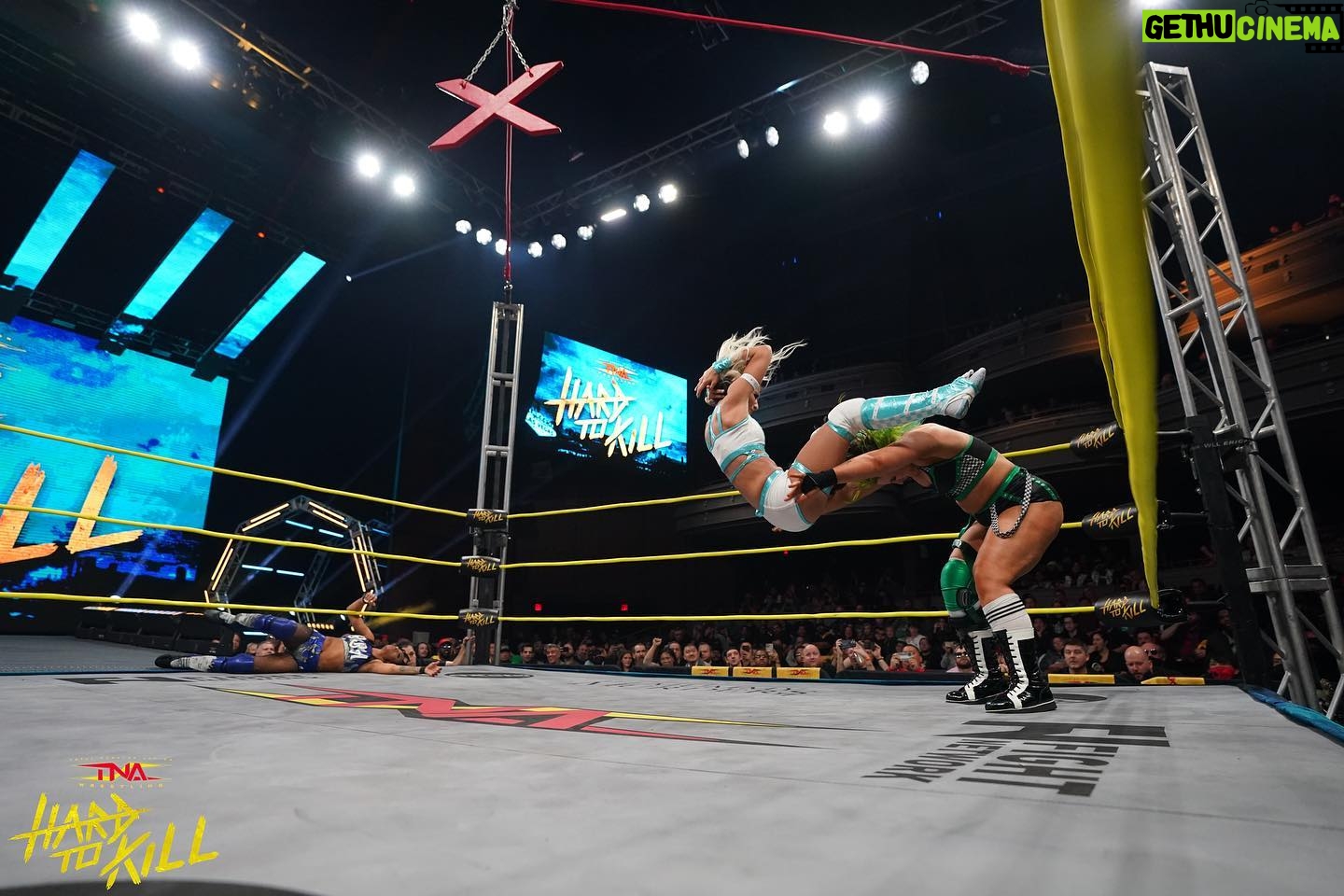 Chloe Smith - 829 Likes - ULTIMATE X
TNA