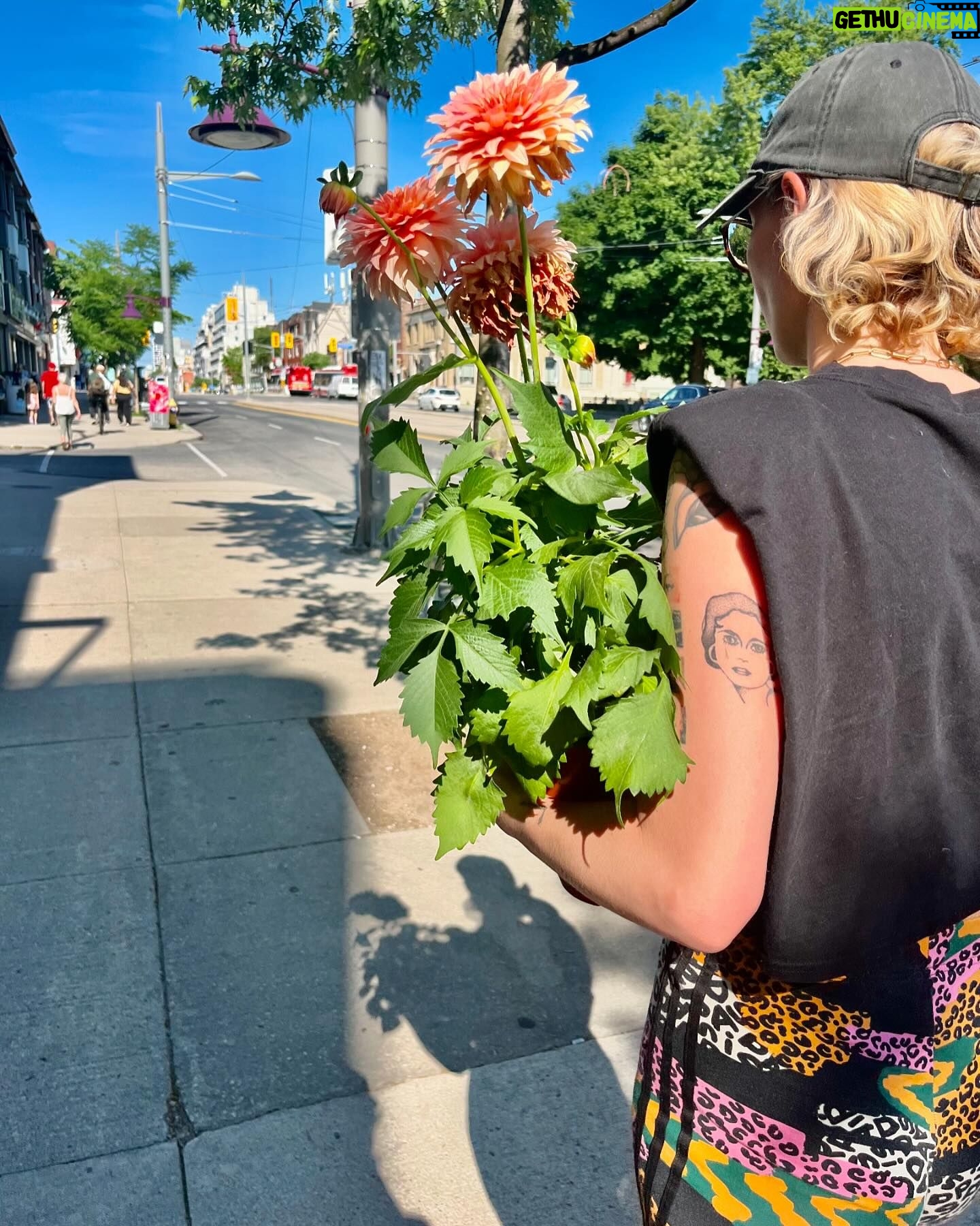 Chloe Van Landschoot - 1.4K Likes - Freakz n geekz n flowerz n KIIKZ š