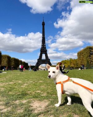 Cho Seung-yeon Instagram - 𝘼 𝙆𝙤𝙧𝙚𝙖𝙣 𝙙𝙤𝙜 𝙙𝙤𝙚𝙨 𝙡𝙖 𝙏𝙤𝙪𝙧 𝙙’𝙀𝙞𝙛𝙛𝙚𝙡 🐾🇫🇷

프랑스 군사학교(É𝙘𝙤𝙡𝙚 𝙢𝙞𝙡𝙞𝙩𝙖𝙞𝙧𝙚) 앞에 위치해있어 18세기만해도 군인들의 대열과 전술 훈련이 진행됐던 이 거대한 정원은 전쟁의 신의 이름을 따 ‘마르스의 평원(𝘾𝙝𝙖𝙢𝙥𝙨 𝙙𝙚 𝙈𝙖𝙧𝙨)’이라고 불립니다. 

에펠탑을 배경으로 인생샷 건지기에 최적의 장소다보니 오늘날은 에펠탑을 즐기러온 관광객들로 많이 붐비는 곳이기도 하고요. 

잔디에 반려견이 입장 가능한 파리의 얼마 안되는 공원 중 하나이기도 해서, 저도 오늘은 강아지와 함께 에펠탑 보며 피크닉 즐기고 왔습니다 😊