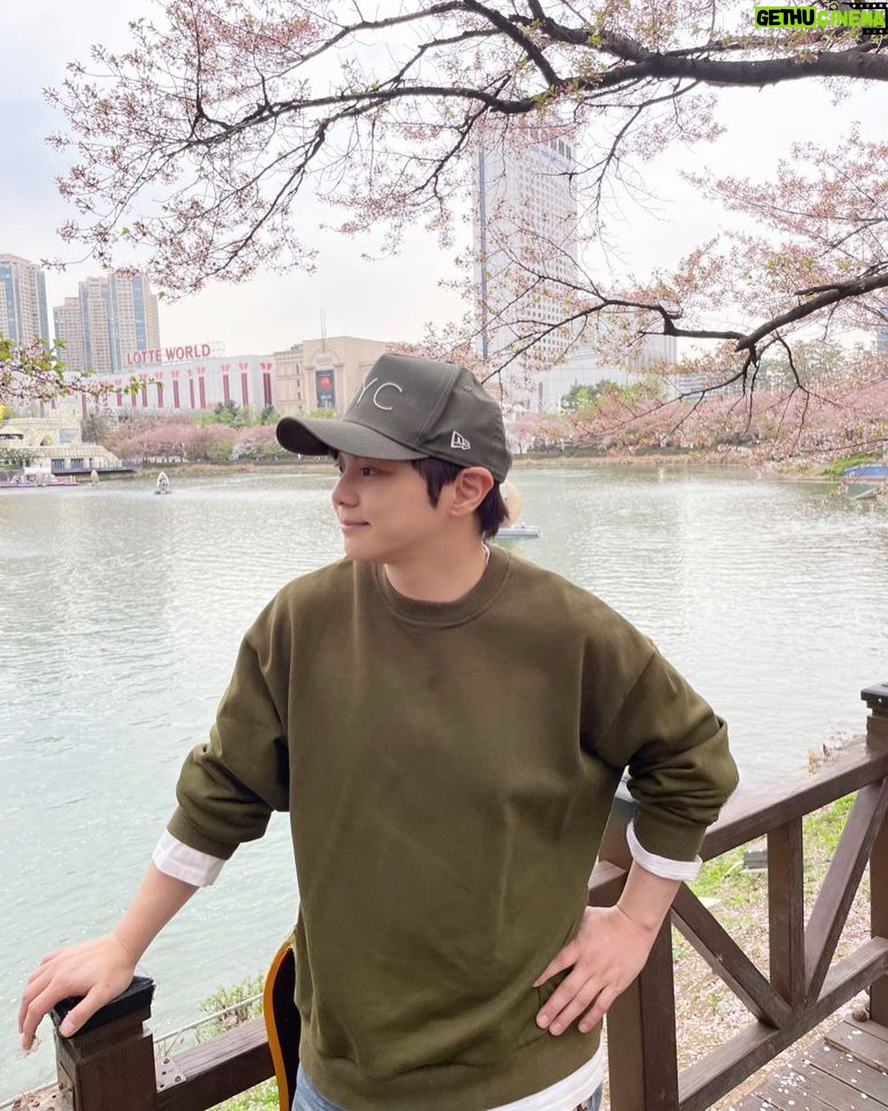 Choi Hyeon-woo - 2.4K Likes - 벚꽃 🌸
#최현우 #마술 #magic
