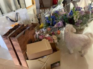 Choi Jin-hyuk Instagram - 감사합니다~❤️(사진을 어떻게 하면 잘찍죠...?ㅠㅠ)