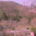 Choi Jung-hoon