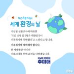 Choo Mi-ae