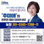 Choo Mi-ae