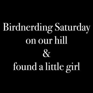 Chris Bath Instagram - Never a dull moment at #birdnerdsrusfarm