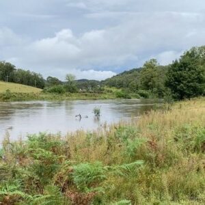 Chris Bath Instagram - Bought a farm on a brook.  Just upgraded to riverfront. #birdnerdsrusfarm