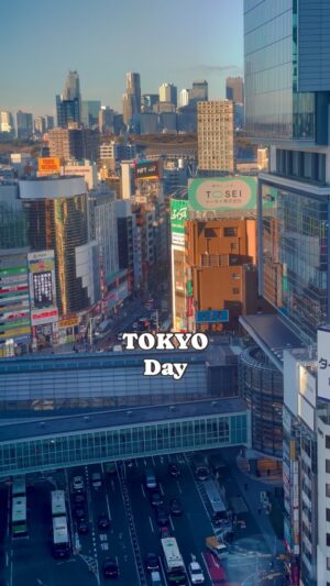 Chris Broad Instagram - TOKYO: Day Vs. Night 🇯🇵 Which do you prefer?
.
.
.
.
.
#japan #japantrip #japantravel #tokyo #tokyotrip