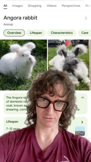 Chris Fleming Instagram - the Angora rabbit