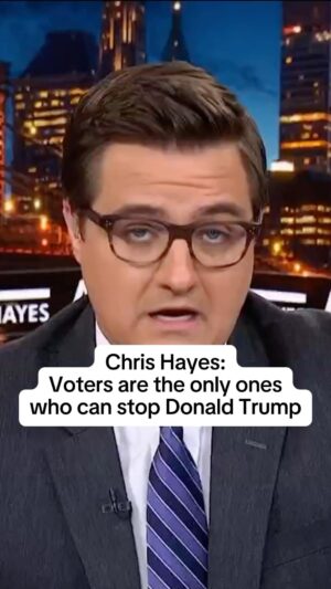 Chris Hayes Instagram - @chrislhayes breaks down all the times former President Donald Trump faced legal opposition and the mostly dismal outcomes. “The only thing that has ever worked to stop Donald Trump is you and me,” he says, “The democracy he so badly wants to destroy, that is the only way that this will end.”