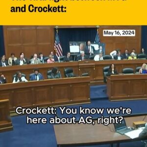 Chris Hayes Instagram - A House Oversight Committee meeting in mid-May devolved into chaos amid personal attacks and partisan bickering in a session that was supposed to center on Attorney General Merrick Garland.

The already tense hearing was derailed when Rep. Marjorie Taylor Greene, R-Ga., insulted Rep. Jasmine Crockett, D-Texas; the exchange went viral across social media.

Amid the memes, including paraody songs about the congressional fight, the moment has brought up questions about procedural decorum within the Capitol.

In a new episode of Chris Hayes’s podcast “Why is This Happening,” Hayes sits down with Rep. Crockett to discuss the need for civility within Washington, including criminal justice and congressional politics.

Click the link in our bio to listen.