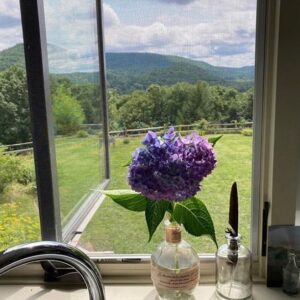 Chris Noth Instagram - Oops! Sorry about that ladies and gentlemen. I meant... one last Hydrangea from the garden before the fall-