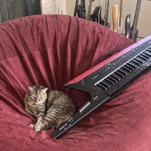 Chris O'Neill Instagram - furry master of the keys