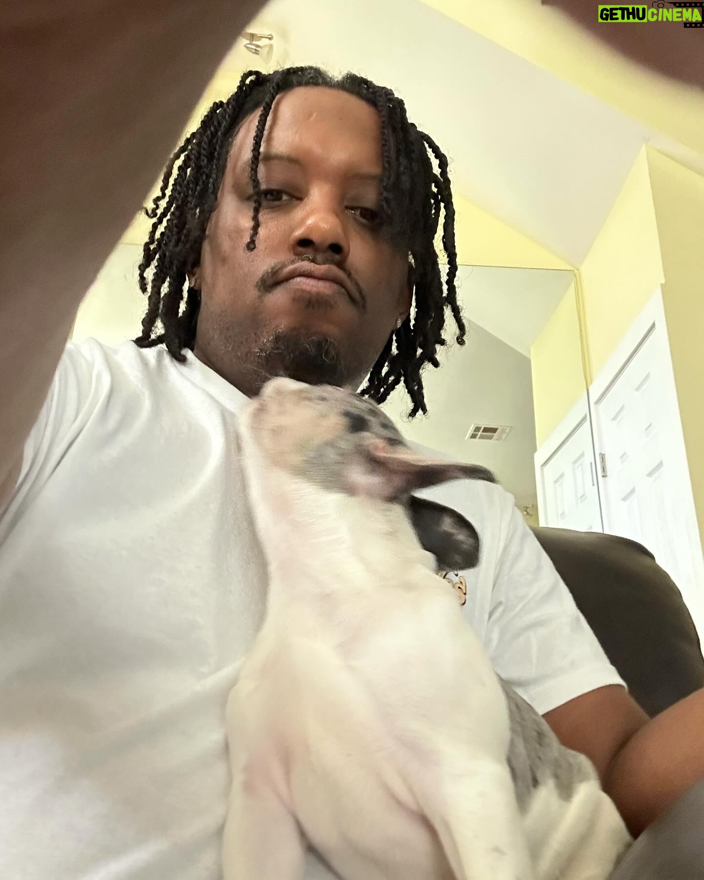 Chris Powell - 1.4K Likes - Really proud of this litter we produced @funnyfarmsfrenchies really dope colors and just overall great pups. We still have 2 boys left and I’m even letting them go for a great price (they’re cute but they gots to go) hit me in my DM or on @funnyfarmsfrenchies and let’s put it together.