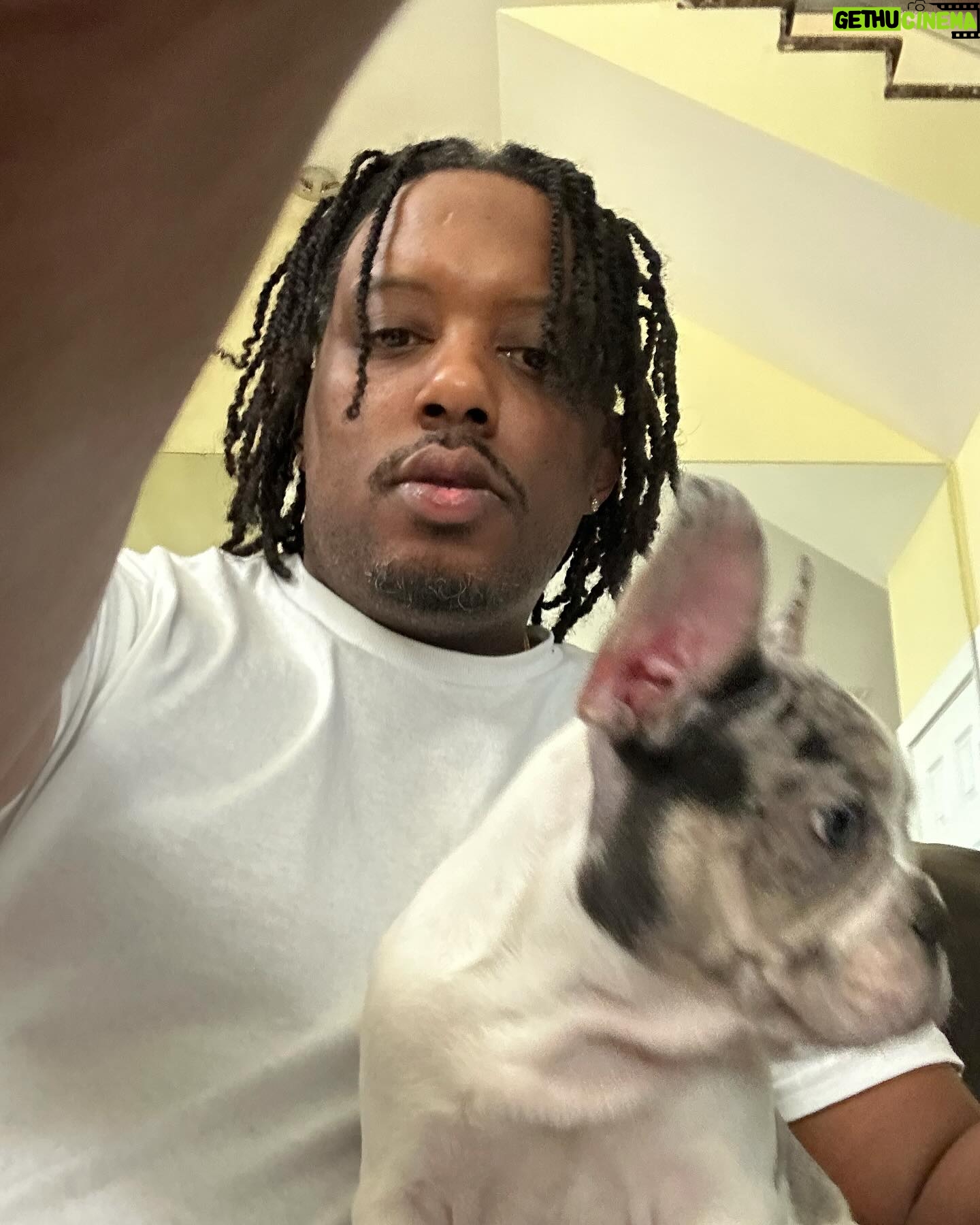 Chris Powell - 1.4K Likes - Really proud of this litter we produced @funnyfarmsfrenchies really dope colors and just overall great pups. We still have 2 boys left and I’m even letting them go for a great price (they’re cute but they gots to go) hit me in my DM or on @funnyfarmsfrenchies and let’s put it together.