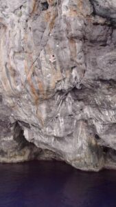 Chris Sharma Top 100 Instagram Photos and Posts