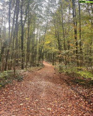 Chris Thile Instagram - Over the river and through the woods to coffee in Luxembourg we go (not necessarily in that order)!
Not pictured: an extremely satisfying evening @philharmonie_lux. 
Tonight: @elbphilharmonie in HAMBURG