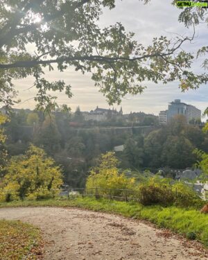 Chris Thile Instagram - Over the river and through the woods to coffee in Luxembourg we go (not necessarily in that order)!
Not pictured: an extremely satisfying evening @philharmonie_lux. 
Tonight: @elbphilharmonie in HAMBURG