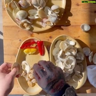 Christian Petroni - 6K Likes - clams-> natural light -> shadows -> summer