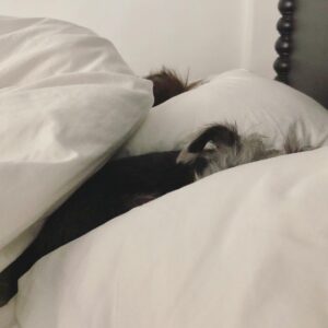 Christian Slater Instagram - My wife took this to show me how similar my dog and I look in the morning.