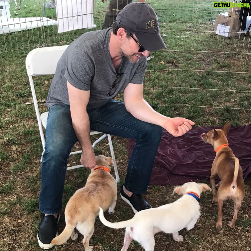 Christian Slater - 9.6K Likes - My wife and I spent an incredible morning with @bestfriendsanimalsociety at the NKLA Super Adoption, open today and tomorrow at Warner Center Park in Woodland Hills. There are hundreds of puppies, dogs, cats and kittens that are hoping to find a home this weekend. Please stop by and meet them and all of the wonderful volunteers and organizations that commit their time and resources to saving the lives of innocent animals. Thank you @emmyrossum and @samesmail for introducing us to this amazing organization and for asking for donations to @bestfriendsanimalsociety instead of wedding gifts. We sponsored an hour of adoptions today in your honor! #SaveThemAll