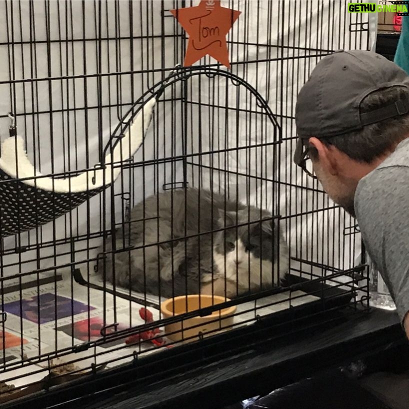 Christian Slater - 9.6K Likes - My wife and I spent an incredible morning with @bestfriendsanimalsociety at the NKLA Super Adoption, open today and tomorrow at Warner Center Park in Woodland Hills. There are hundreds of puppies, dogs, cats and kittens that are hoping to find a home this weekend. Please stop by and meet them and all of the wonderful volunteers and organizations that commit their time and resources to saving the lives of innocent animals. Thank you @emmyrossum and @samesmail for introducing us to this amazing organization and for asking for donations to @bestfriendsanimalsociety instead of wedding gifts. We sponsored an hour of adoptions today in your honor! #SaveThemAll