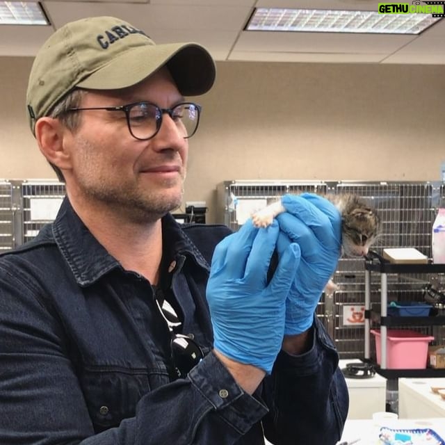 Christian Slater - 27.5K Likes - Spent an inspirational afternoon with the staff and incredible volunteers of @bestfriendsanimalsociety learning about their kitten nursery, which saved over 3,000 kittens from euthanasia in 2017 alone. If you are in LA and thinking of adopting a pet, check out their animal sanctuary (they have adult cats, dogs and puppies too)! #KITTENS #SaveThemAll