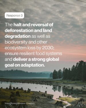 Christiana Figueres Instagram - The clock is ticking and later is too late. 

We have joined over 900 leaders (and counting) from across business, finance, NGOs, indigenous peoples, cities, youth, athletes, artists and faith leaders have signed a letter demonstrating how they stand in courage and in resolve to support Sultan Al Jaber in delivering a historic and unprecedented outcome at COP28.

This is huge.

Listeners, please share this message and tag your friends, influencers and the leaders who need to hear it! Thank you for your support, every share counts, every thing you do matters 🙏

#lateristoolate #cop28