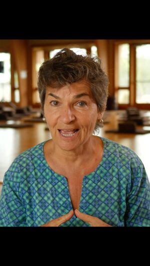 Christiana Figueres Instagram - Nurture Your Inner World for the Earth’s Healing 🍃🌎

“In the quest for change, the transformation we seek externally must first unfold within us,” christiana figueres (@cfigueres) guides us. It’s a call for introspection, to align our inner landscape with the external world we wish to heal.

Do you feel the weight of climate anxiety? It’s a journey many of us navigate together. This is an invitation to understand our emotions, to see them as catalysts for change, instead of barriers.

Step forward. Embrace mindfulness. Let your actions for the Earth spring from a place of peace and clarity.

Embark on this path of inner and outer healing.

#zenandtheplanet #plumvillage #christianafigueres