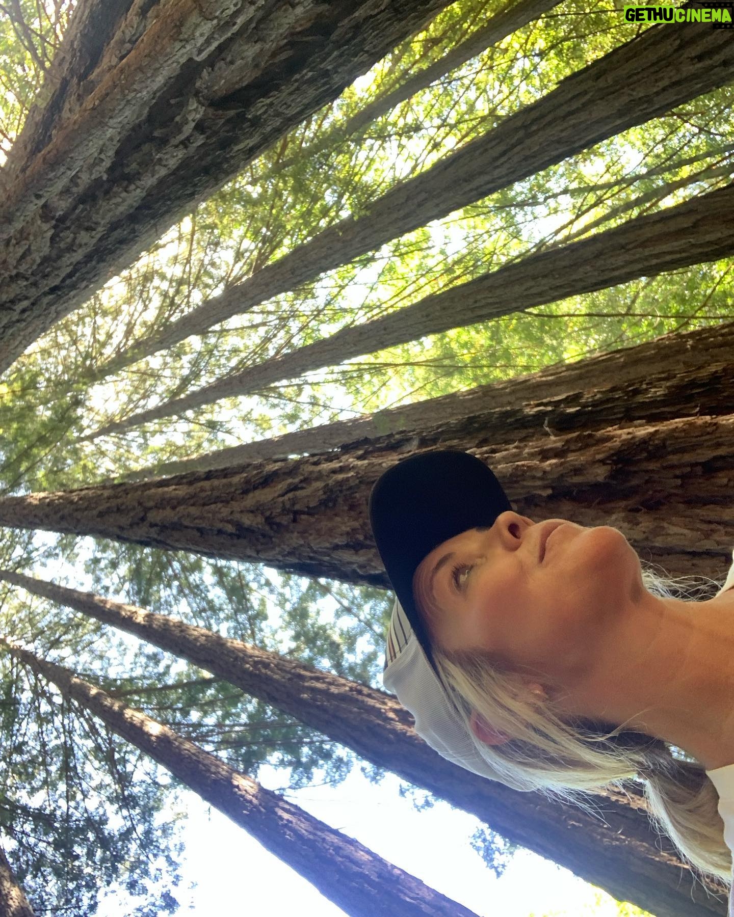 Christie Clark - 696 Likes - We be growing like redwoods! Our littlest one is now 9yrs old today! California and Maui rocked! Mom and Dad are loving UK! Happy summer everyone!