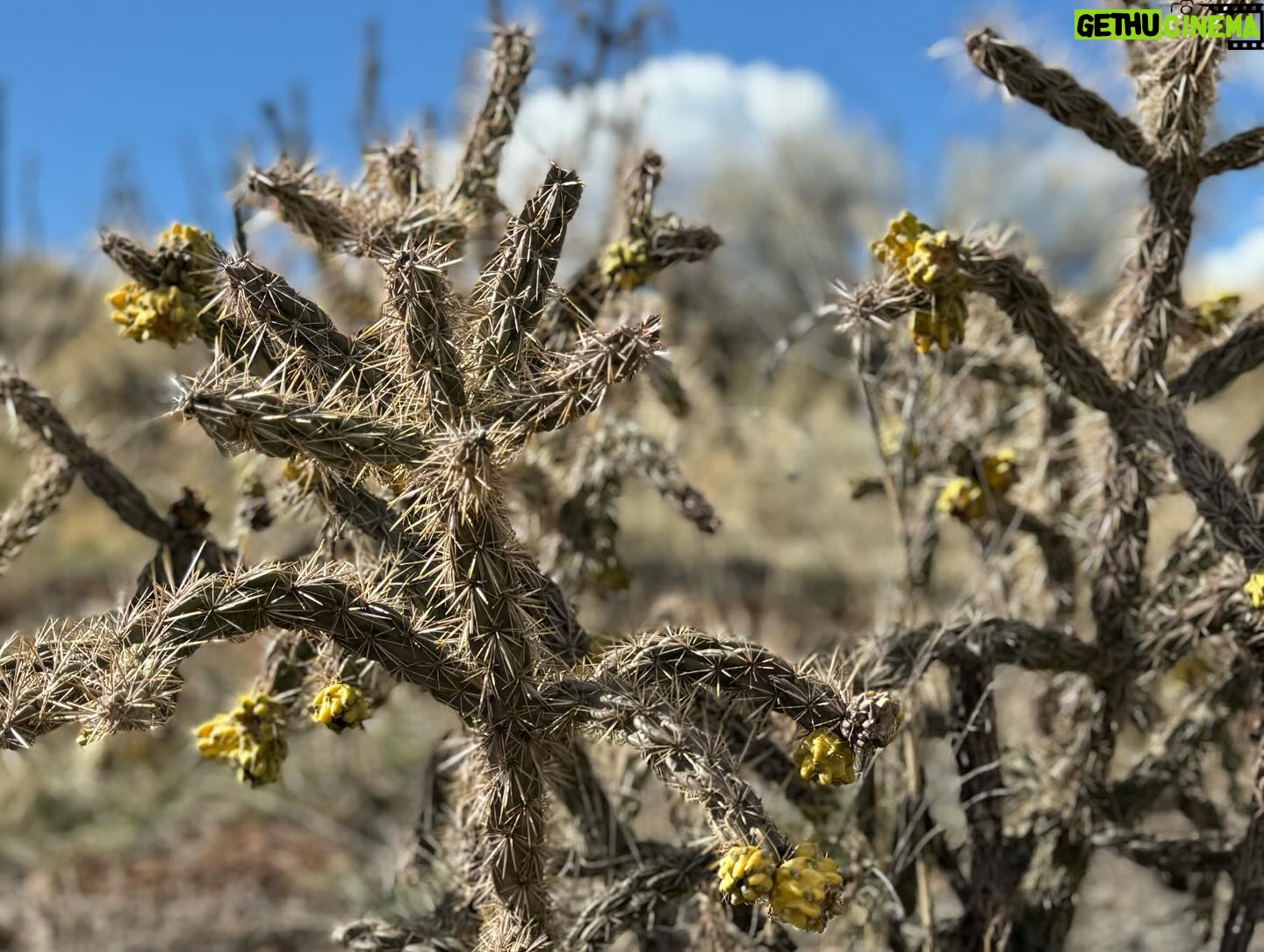 Christina Wren - 250 Likes - #newmexico #pecos