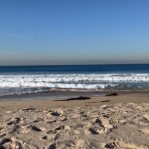 Christina Wren Instagram - I don’t get a lot of solo moments these days but last week I made a half hour pit stop at the beach on the way to the @womenofcolorfilmmakers gala and it filled my spirit. Time to just think and be 💙. Maybe you’ll enjoy pausing for a moment with the rhythm of the ocean’s waves (swipe ➡️)
.
.
.
.
.
#ocean #gratitude #calm #beach