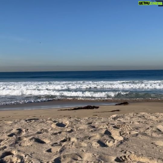 Christina Wren - 209 Likes - I don’t get a lot of solo moments these days but last week I made a half hour pit stop at the beach on the way to the @womenofcolorfilmmakers gala and it filled my spirit. Time to just think and be 💙. Maybe you’ll enjoy pausing for a moment with the rhythm of the ocean’s waves (swipe ➡️)
.
.
.
.
.
#ocean #gratitude #calm #beach