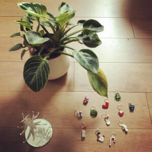 Christopher Larkin Instagram - Day 13: Philodendron Birken with my first christmas tree in LA. #plants #alltheplantsinmyapartment