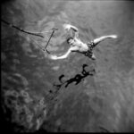 Christopher Lowell