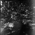 Christopher Lowell