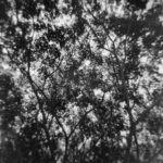 Christopher Lowell