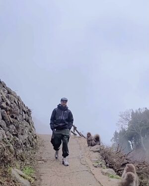 Chuando Tan Instagram - 花果山一日游 …

📌 Yamanochi, Shimotakai-Gun，Nagano, Japan