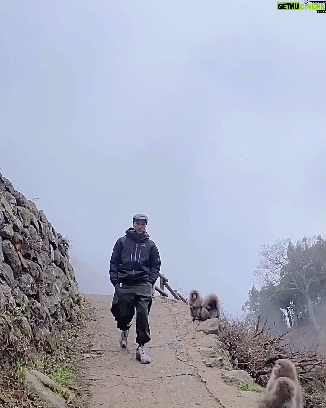 Chuando Tan - 35.7K Likes - 花果山一日游 …
📌 Yamanochi, Shimotakai-Gun,Nagano, Japan