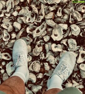 Chuck Hughes Top 100 Instagram Photos and Posts