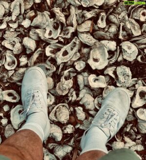 Chuck Hughes Instagram - 17 years No Booze. 🧃
⚡️Partylike a Toddler⚡️
