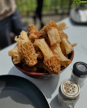 Chuck Hughes Instagram - Fried Perch and Morels in Walpole Island for @cfpk.tv ! Big thanx to Rocky and the Sands family.