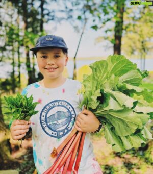 Chuck Hughes Instagram - When life gives you de l’ail des bois et de la rhubarbe…. 🌱
